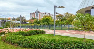 Профессиональное озеленение улиц в Изобильном в октябре