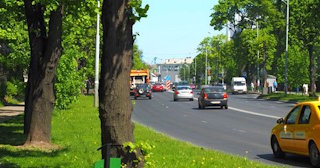 Посадка деревьев и кустарников в Изобильном — стоимость от 1247 руб.